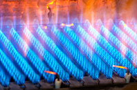 Sanachan gas fired boilers